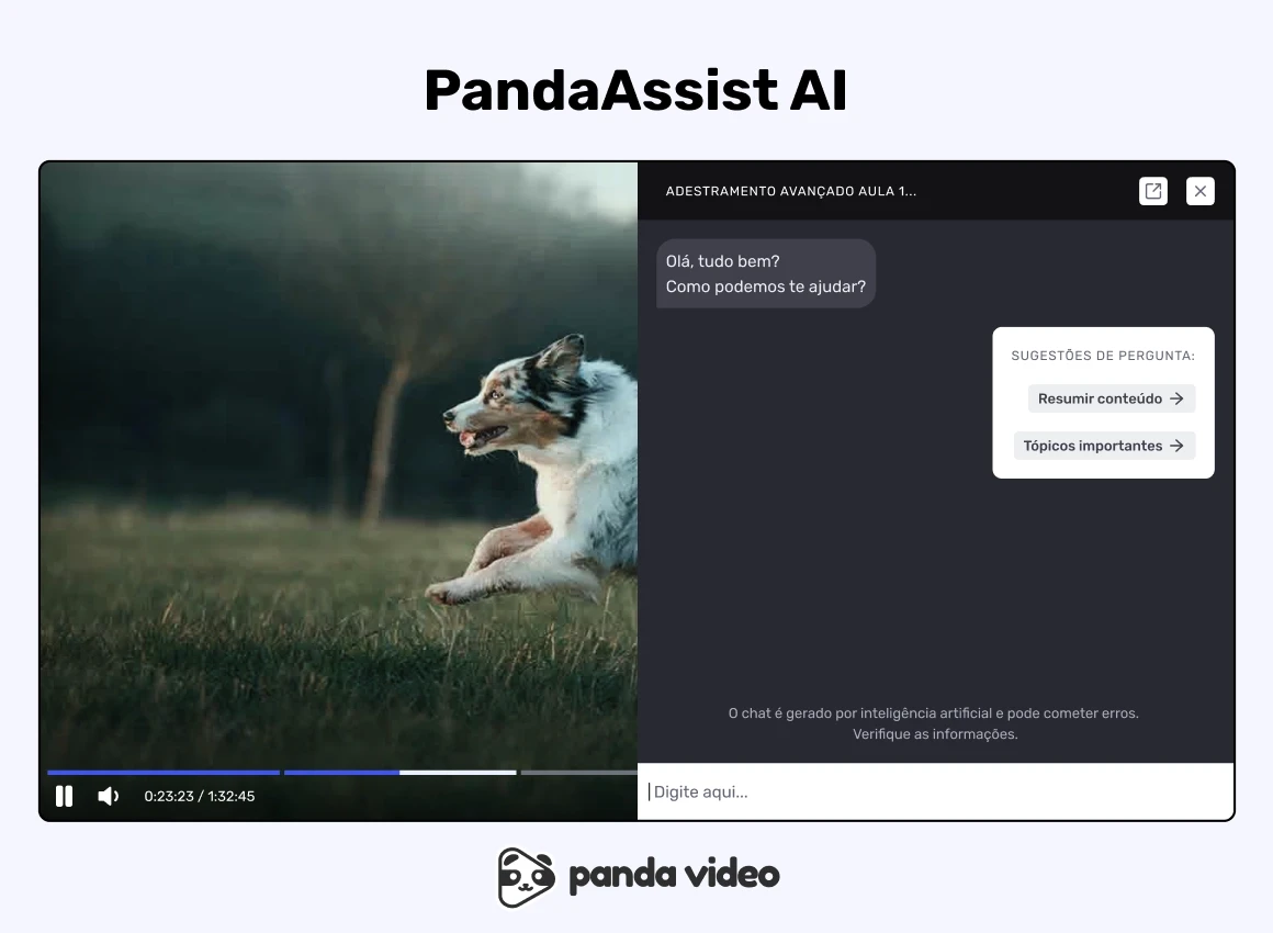 Tela do PandaAssist AI