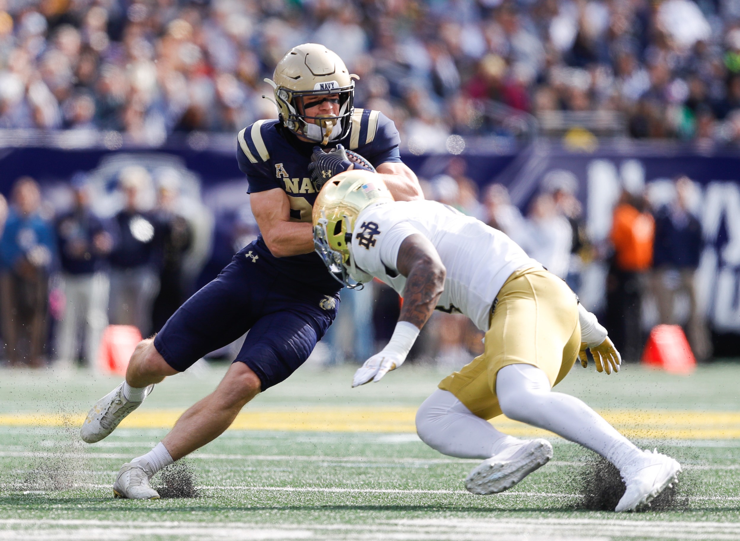 Vinnie Lucia/Undrafted