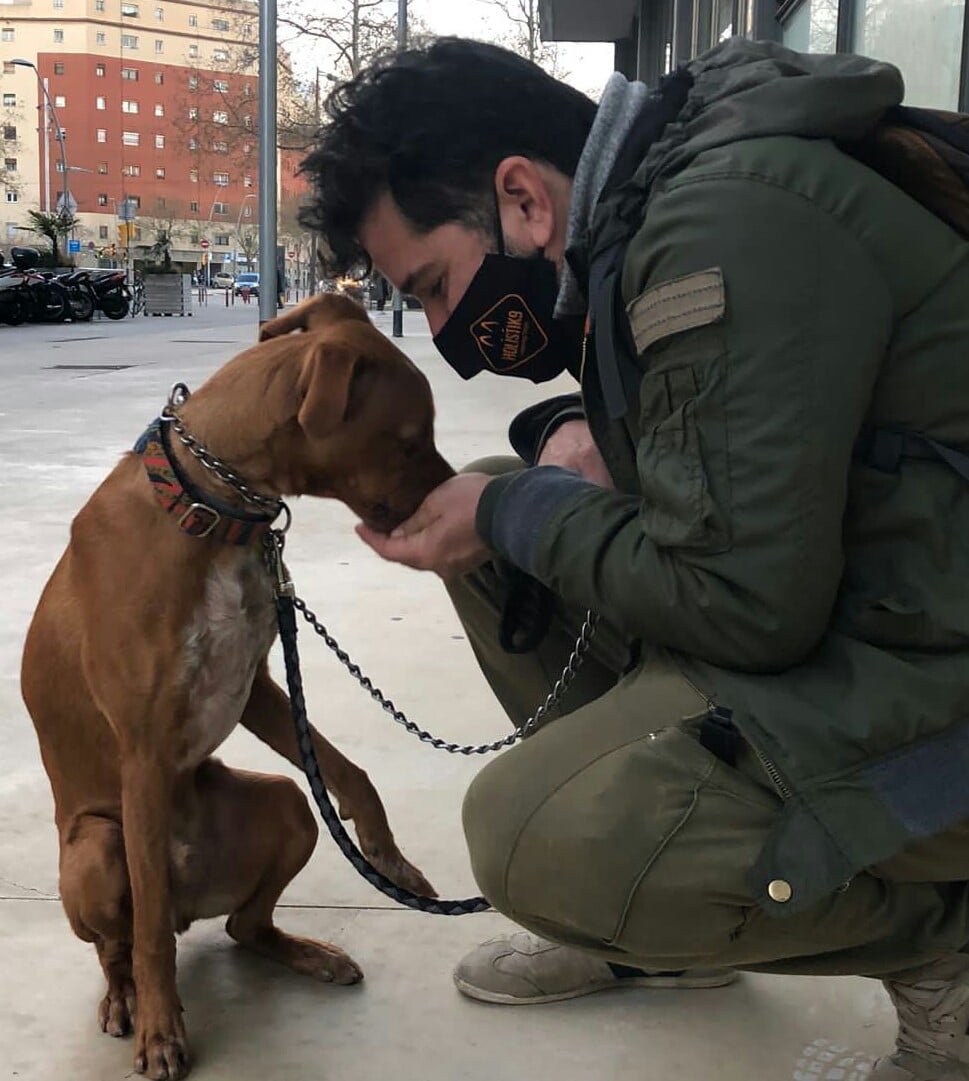 obediencia funcional