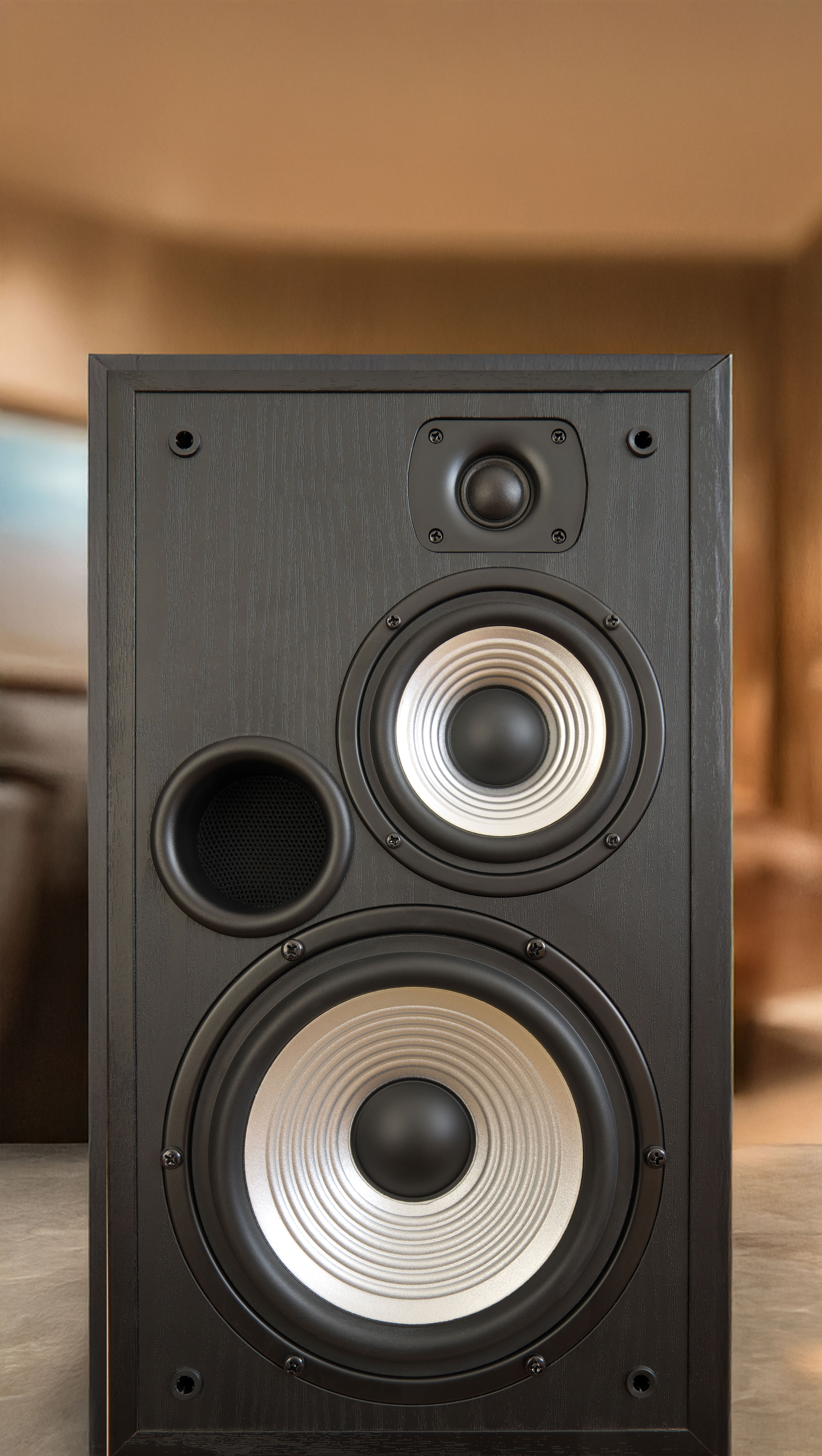 Original speaker