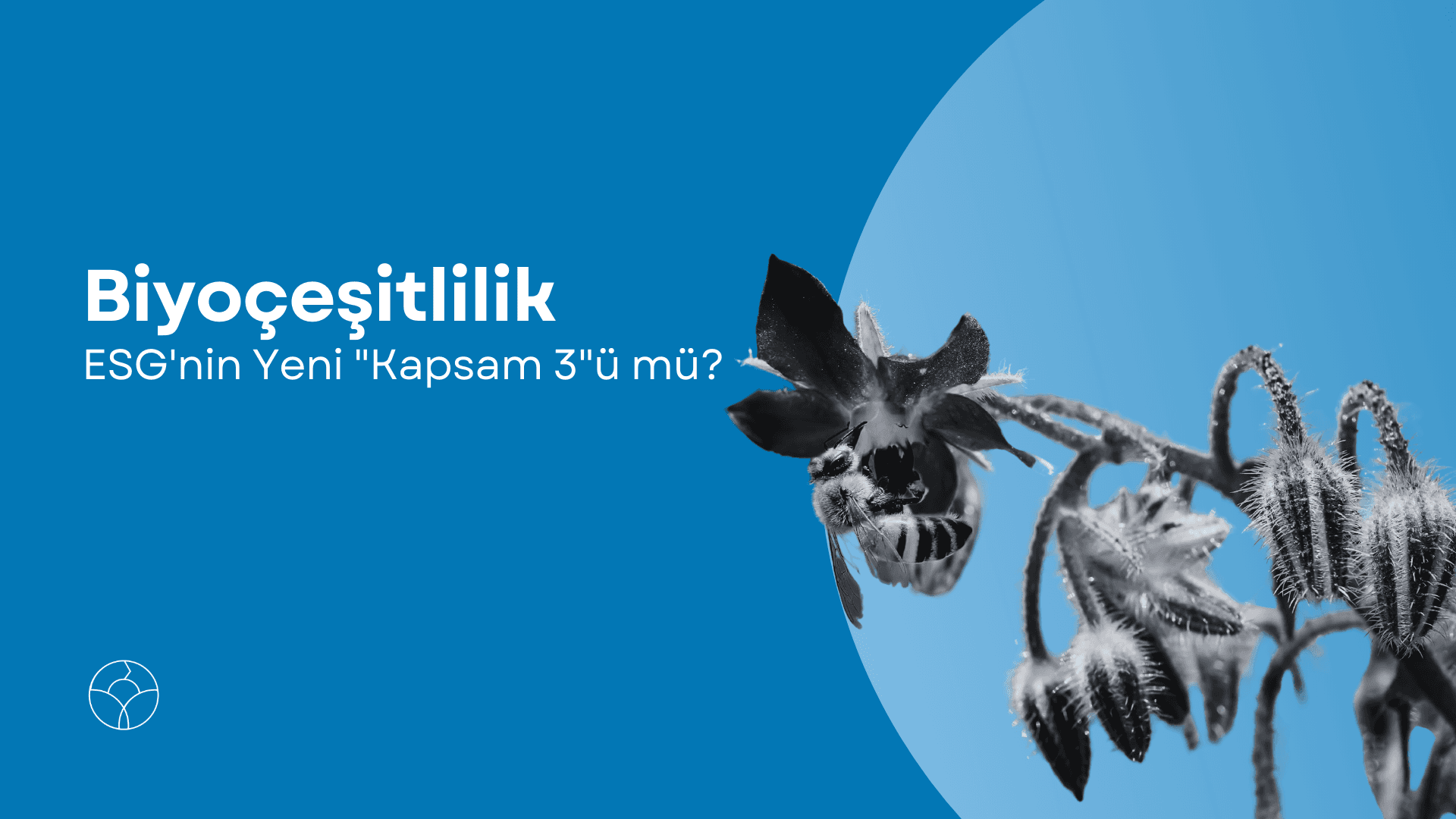 Biyoçeşitlilik ve ESG Kapsam 3 ilişkisini konu alan, üzerinde arı ve çiçek görseli bulunan mavi renkli blog kapak tasarımı.