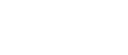 Partner logo 10