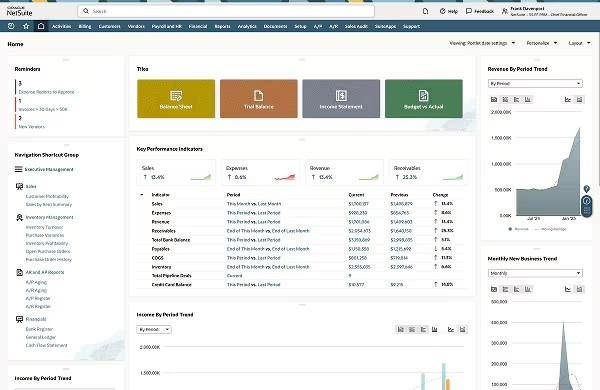 A NetSuite screenshot of a data dashboard displaying various metrics, tables, and charts for analysis.