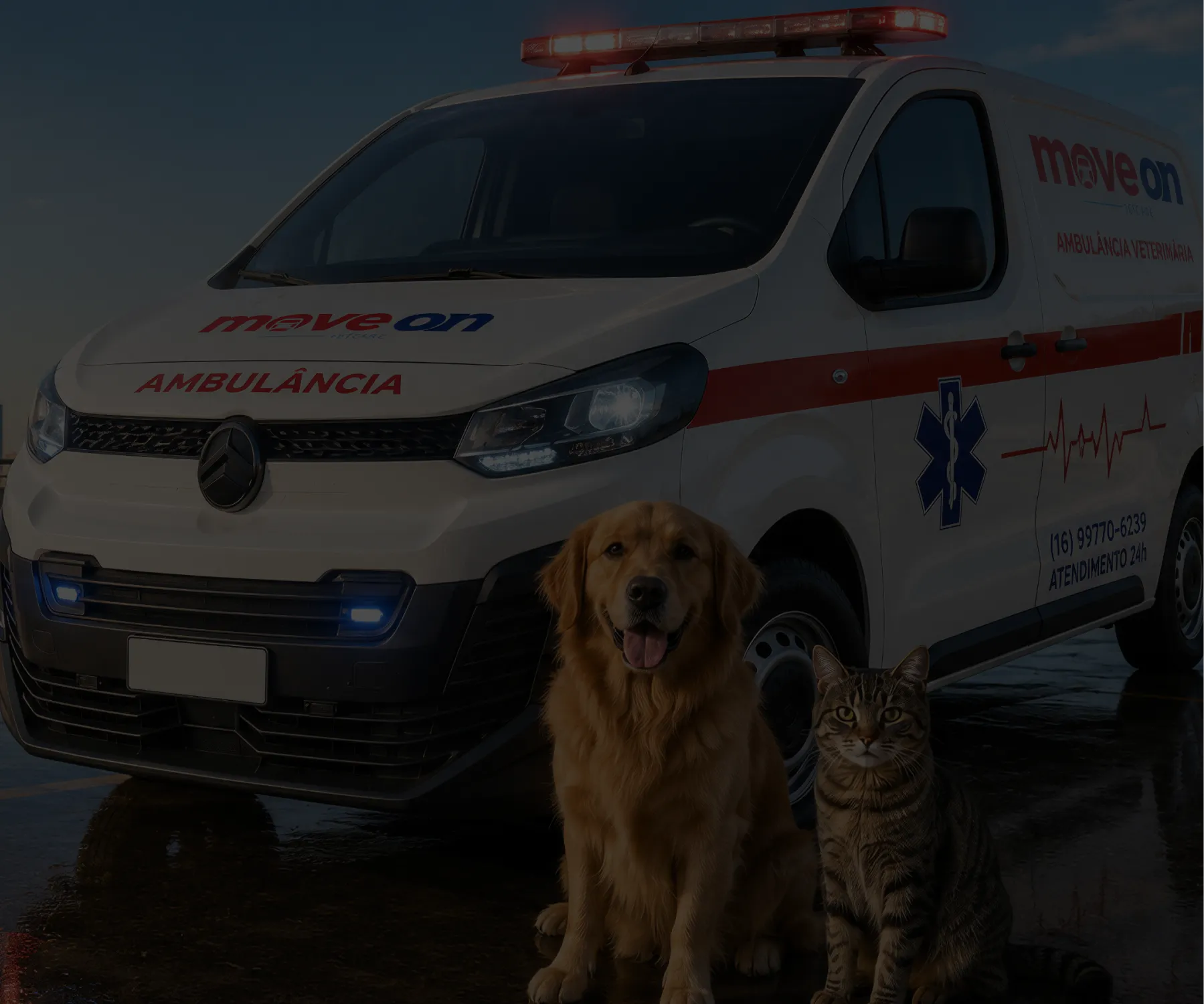 ambulancia move on hero
