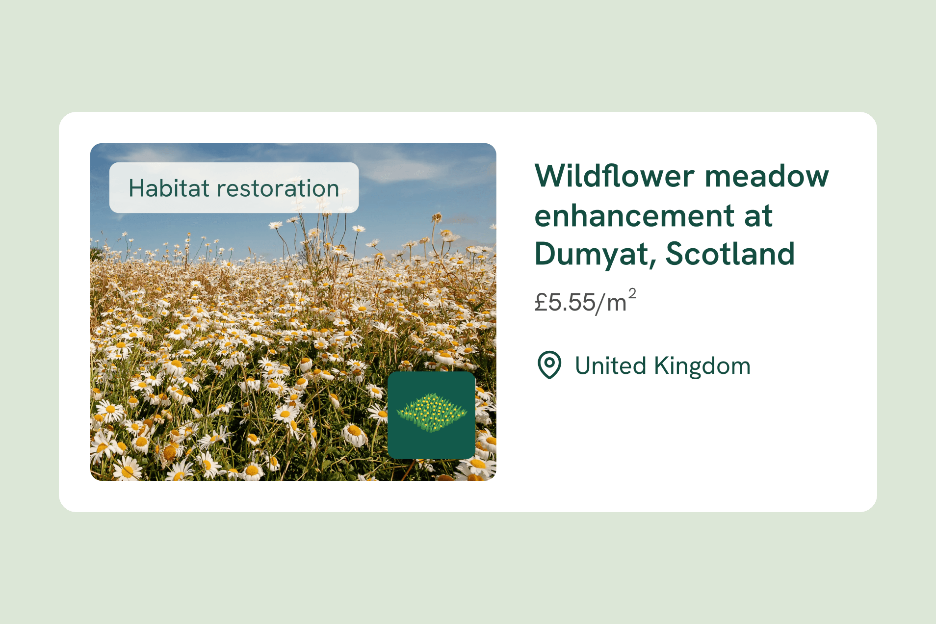 Wildflower meadow enhancement project in Dumyat, Scotland