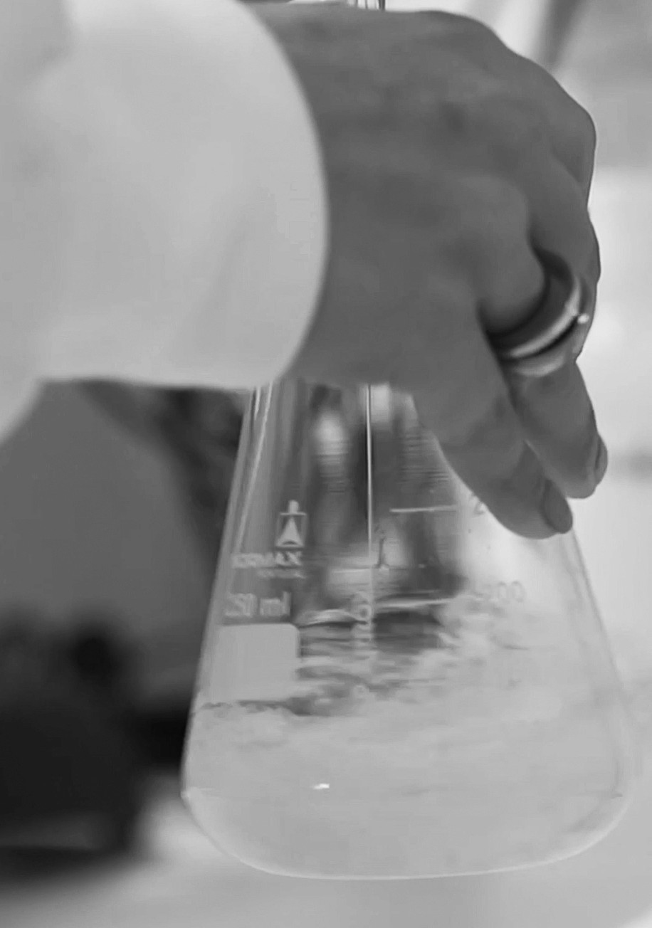 person holding white round ornament