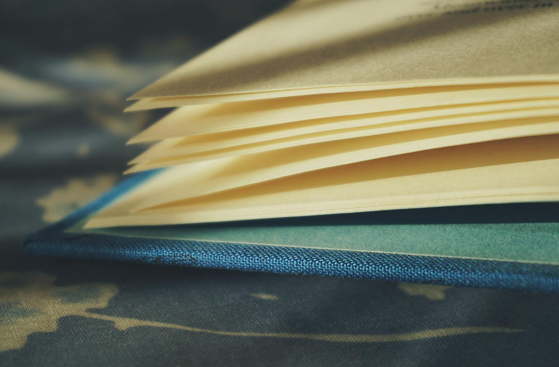 A smiling young girl points at a colorful 3D paper castle rising from the pages of pop up books on a play mat.