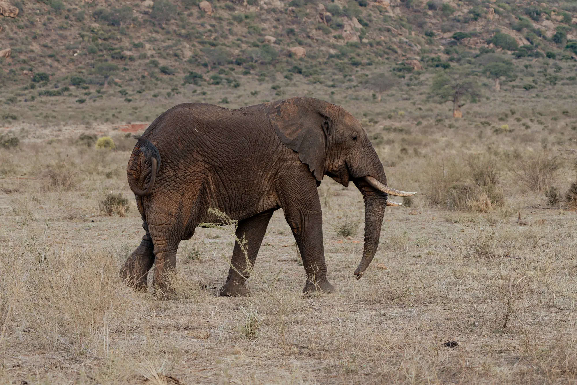 Usahili Tour in Kenya