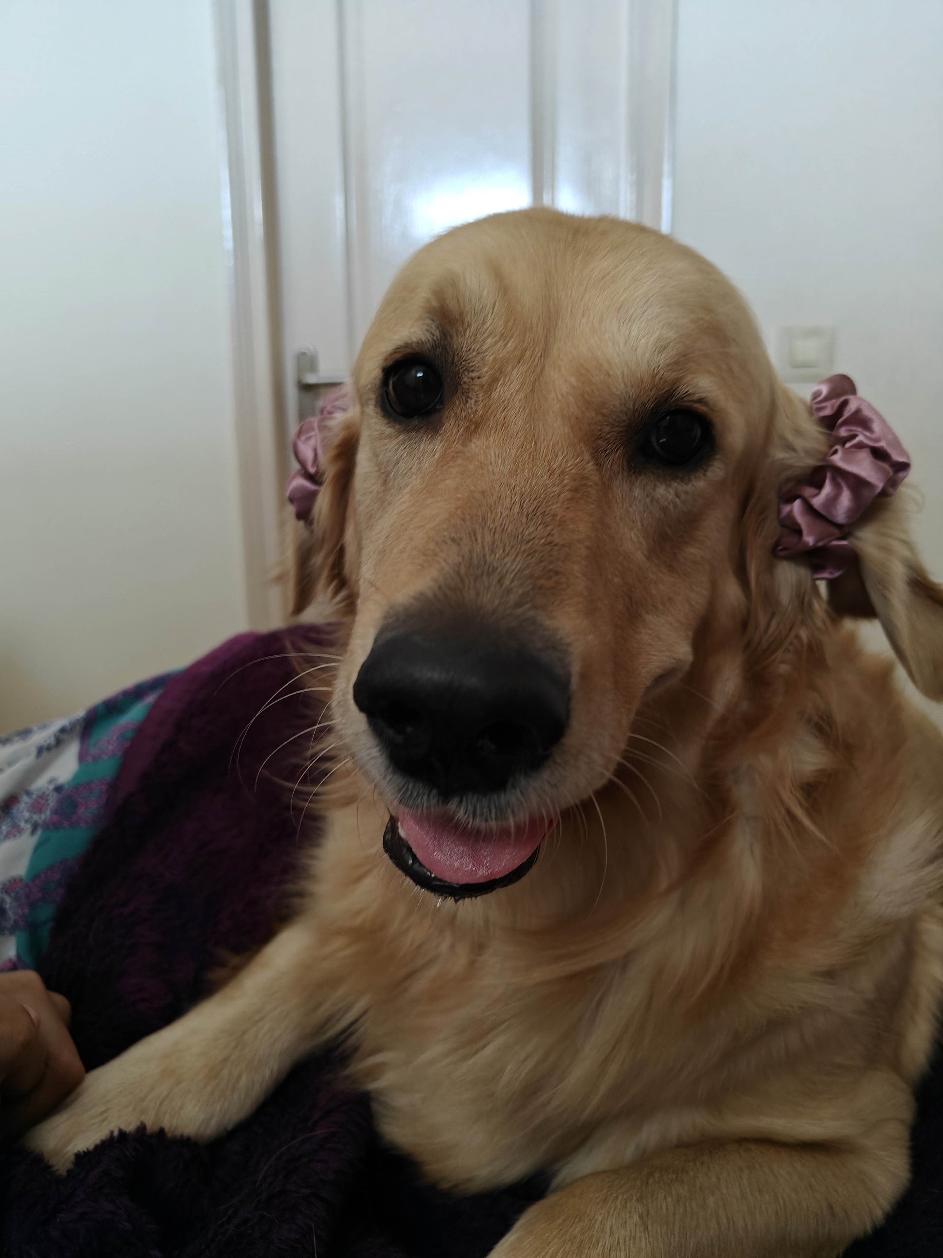 Making payments transparent and convenient for investors on Tyke