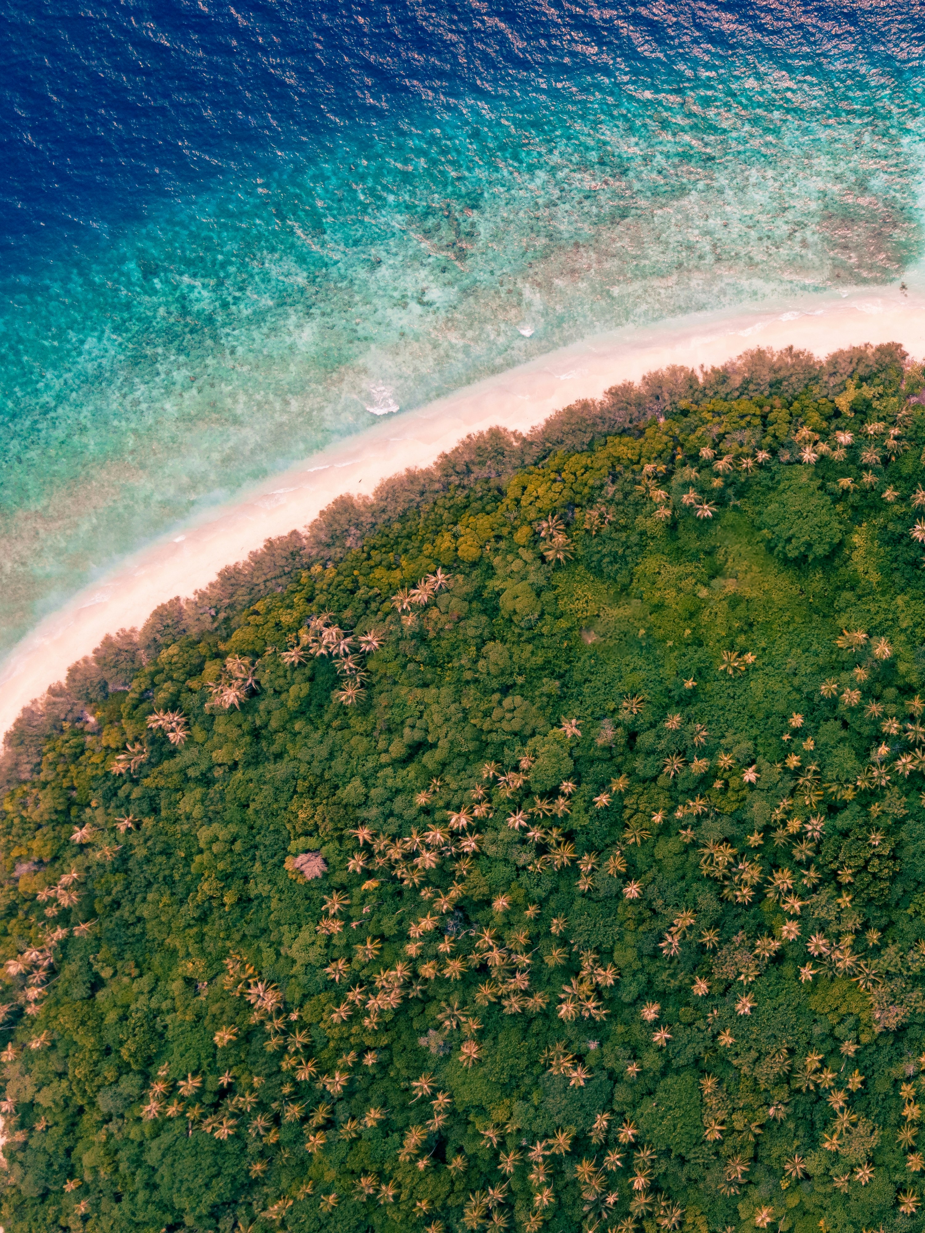 Aerial view of a lush green island meeting turquoise waters