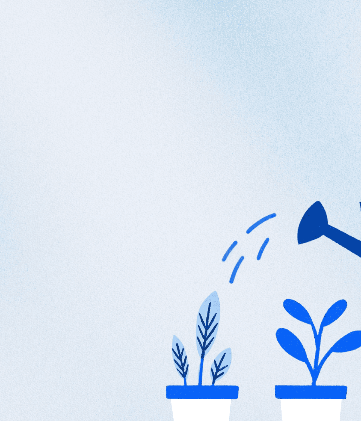 A watering can pouring water on small potted plants against a light blue background.