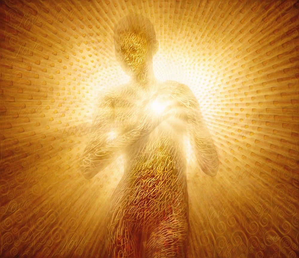 pink flowers on body of water