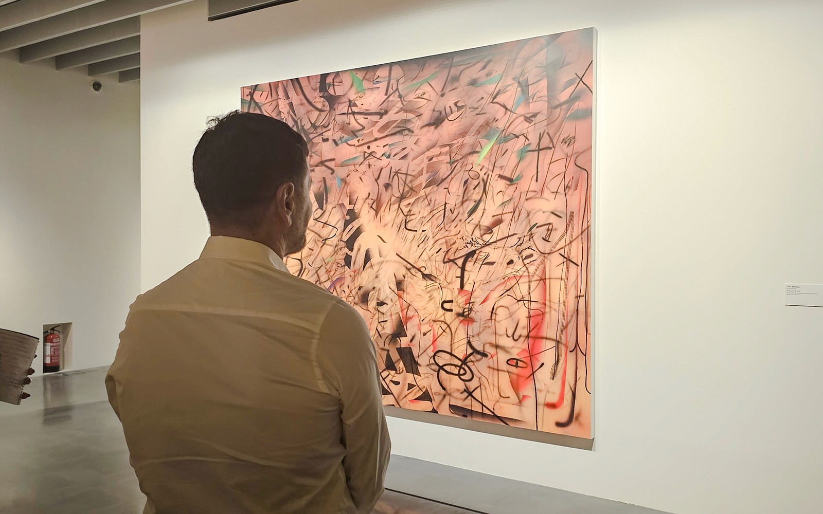 Man viewing abstract painting at Centre Pompidou Malaga exhibition.