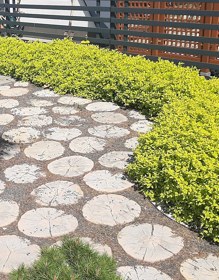 Chodnik przy płocie. Obok nasadzenia