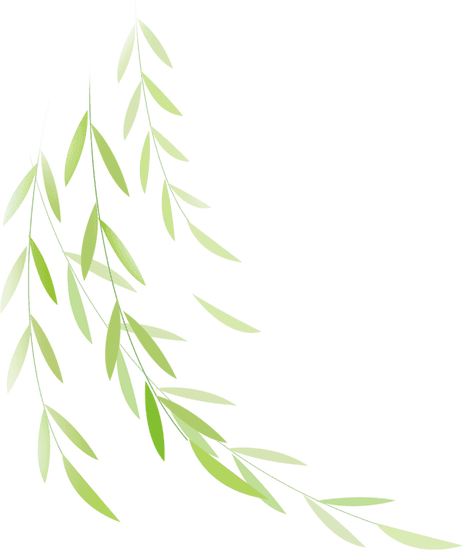 创意节气完整插画-柳树