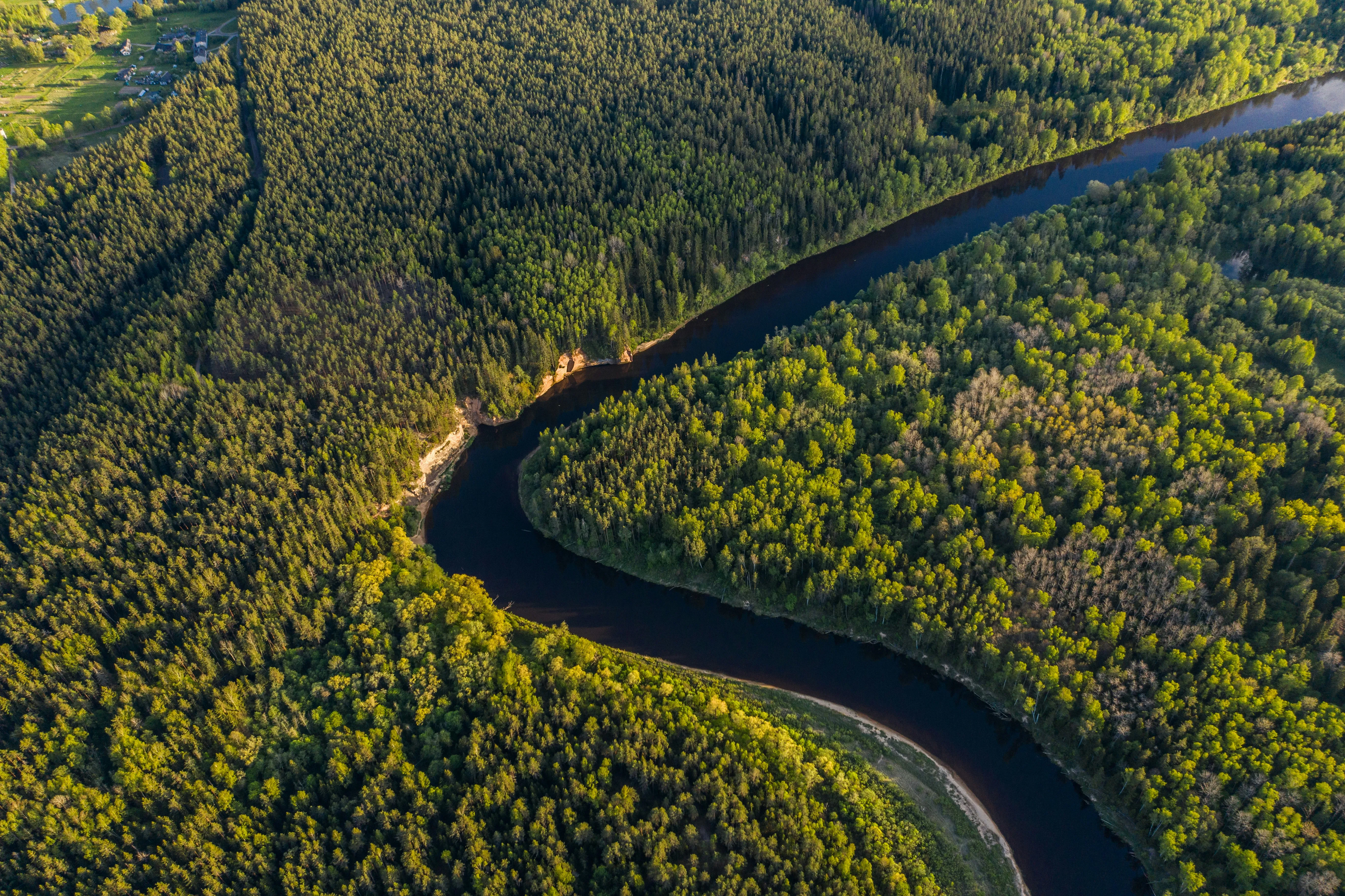 Vue aerienne de la foret et d'une rivière