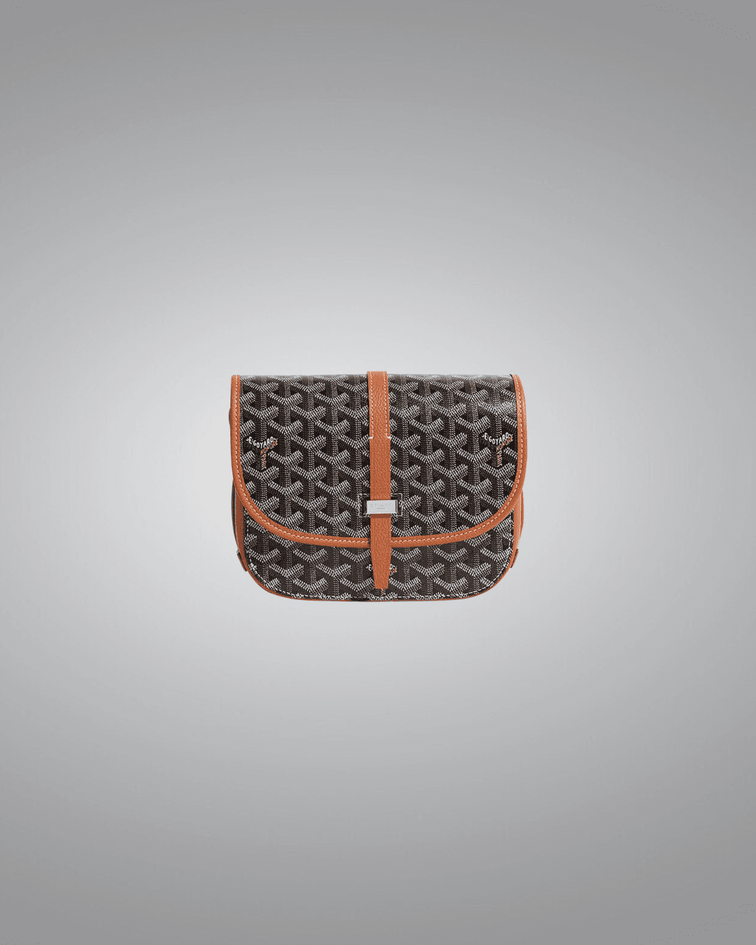 Goyard PM Messenger Bag