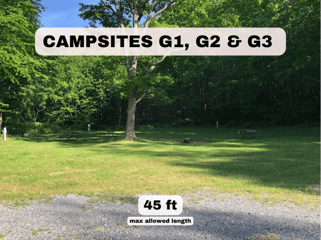 Campsites G1, G2, & G3 at Pine Hollow Campground, featuring a 45ft max length gravel area and shared grassy lawn with picnic tables
