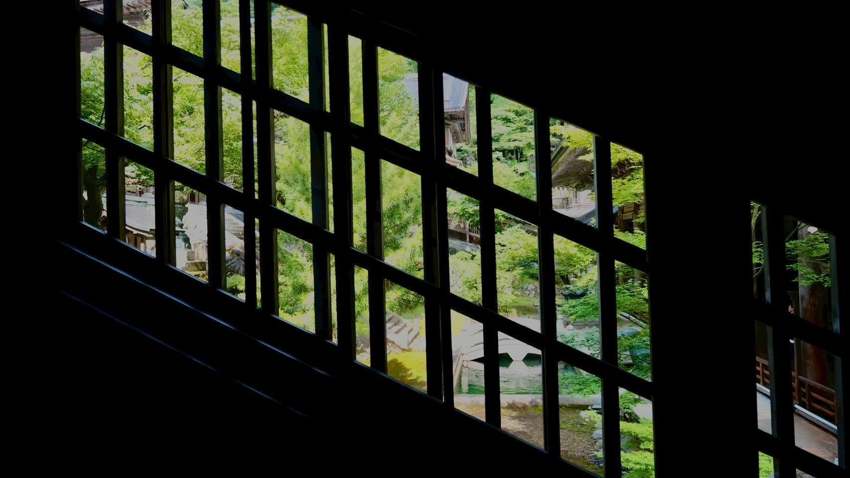 Group of friends smiling on a lively city street at night