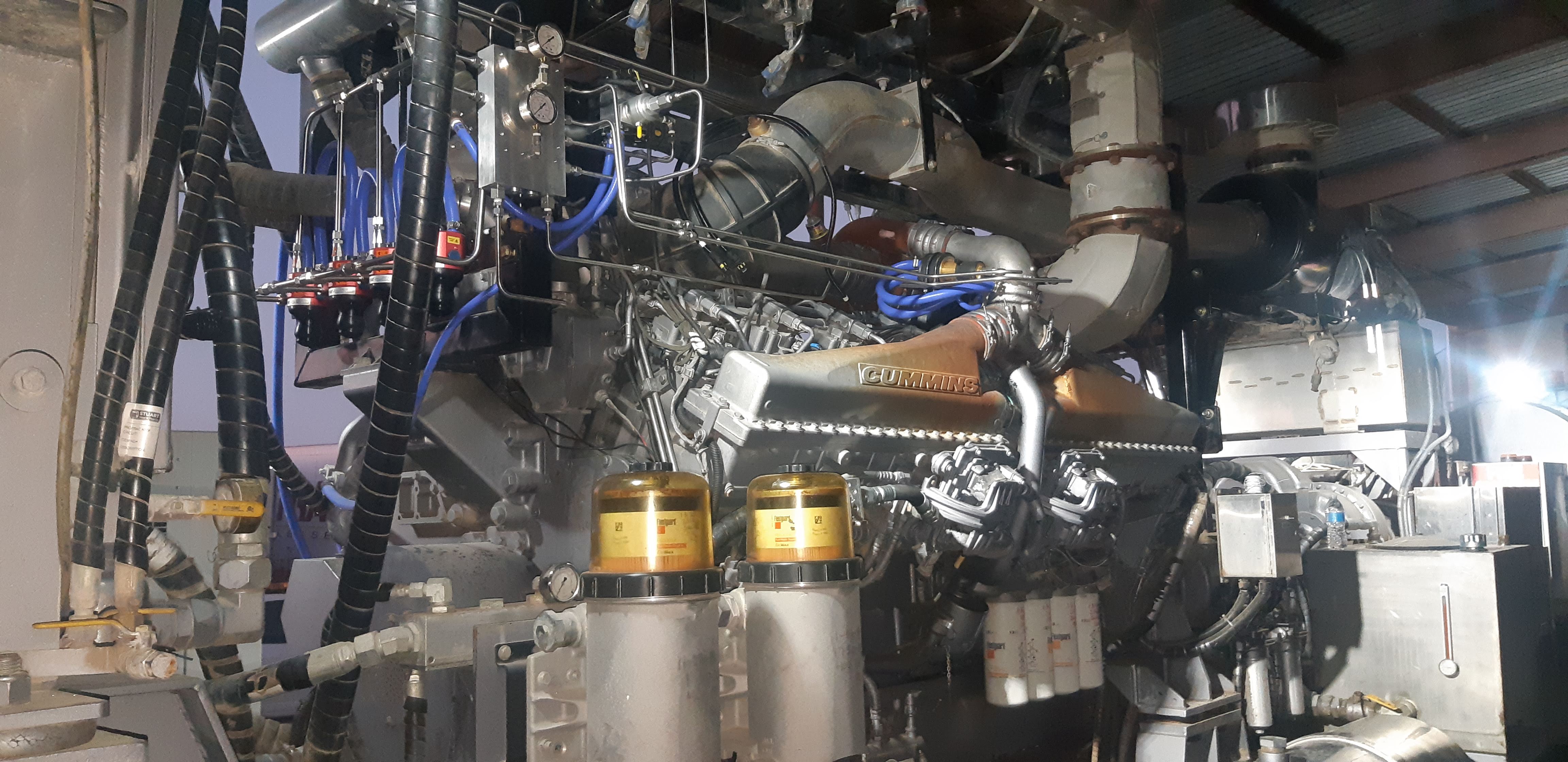 Woman looking at camera