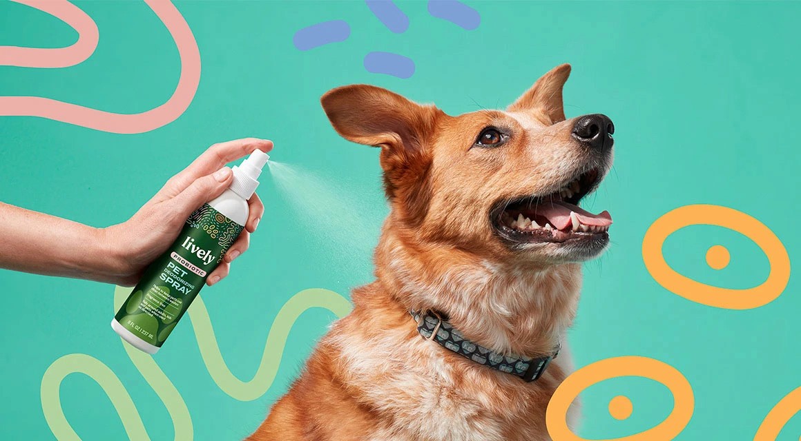 Faultless: Lively Probiotic Cleaners Launch