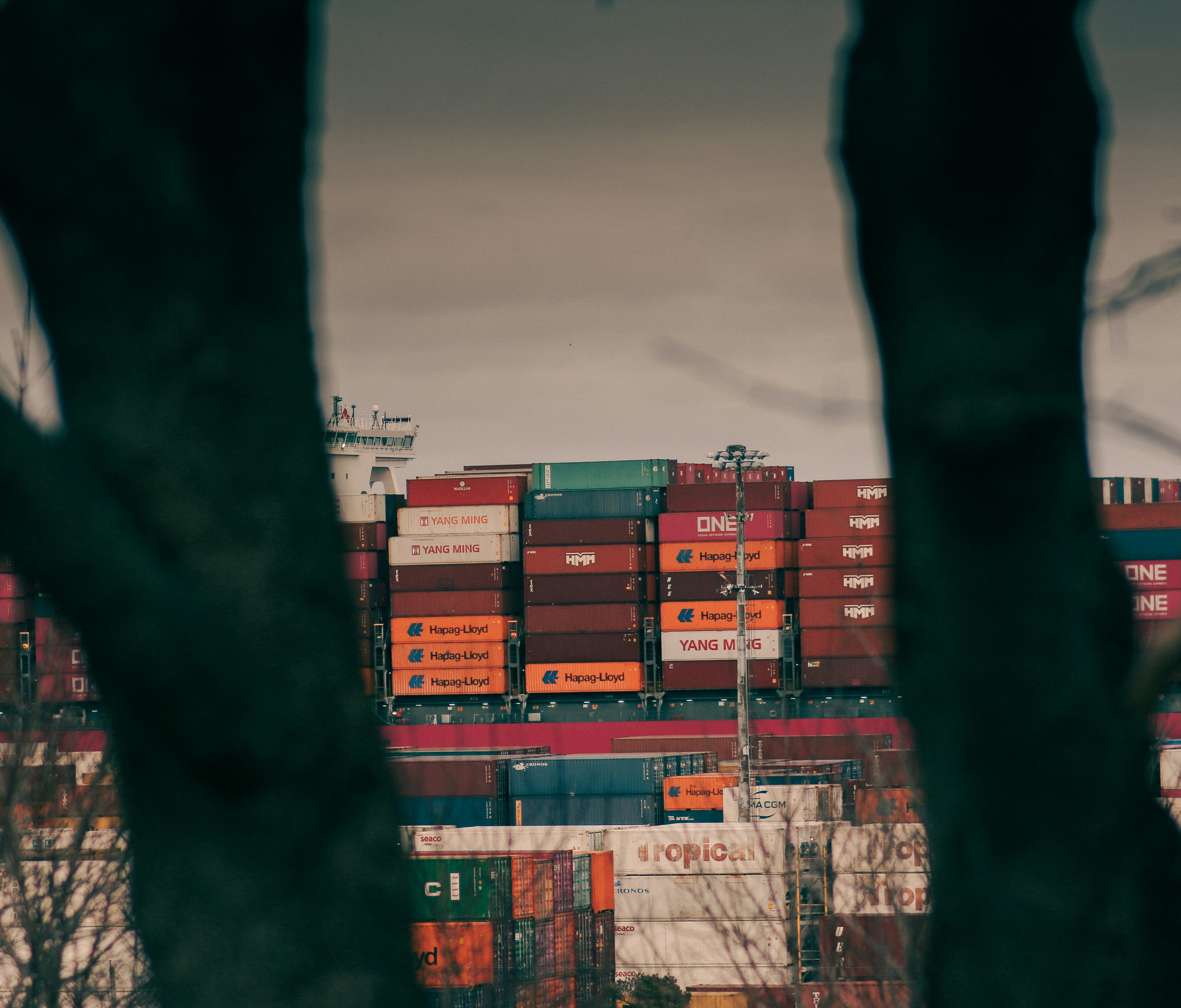 A large cargo ship in a harbor with trees in the foreground