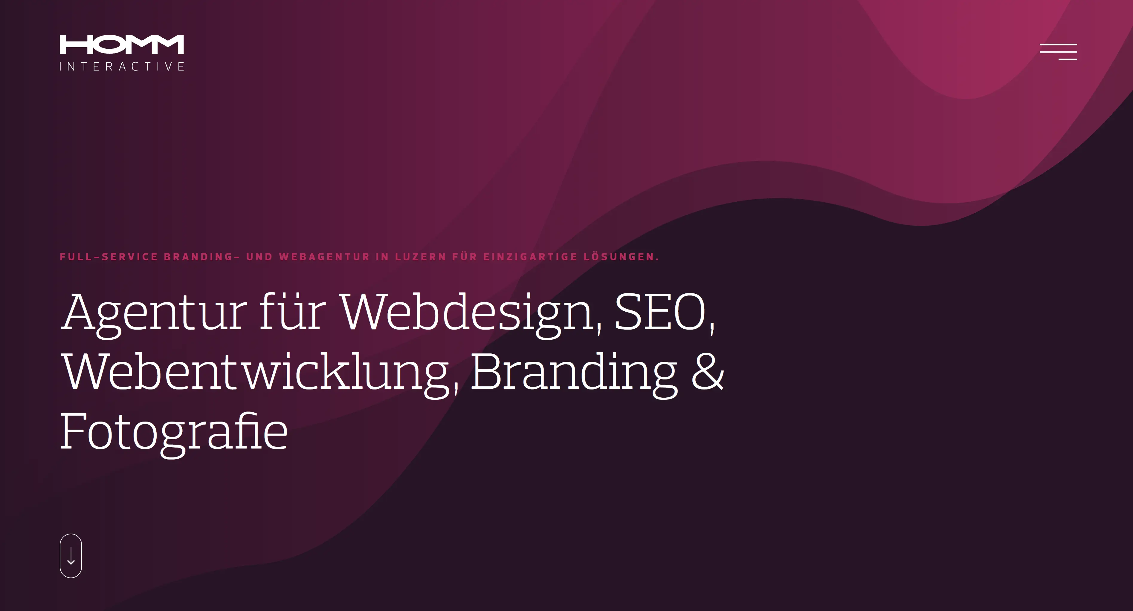 Die 10 besten Webagenturen in Luzern 2026