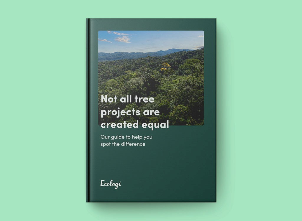 tree planting guide