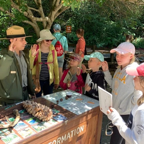 穆爾森林和索薩利托：米爾谷的小型團體旅遊門票