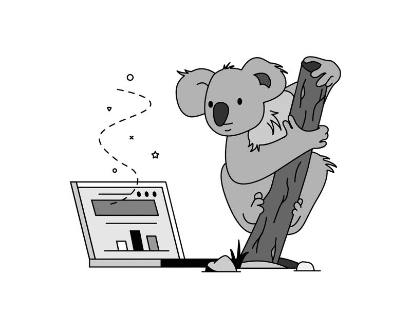 A koala looking at a laptop.