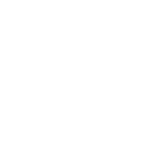 Client's Logo