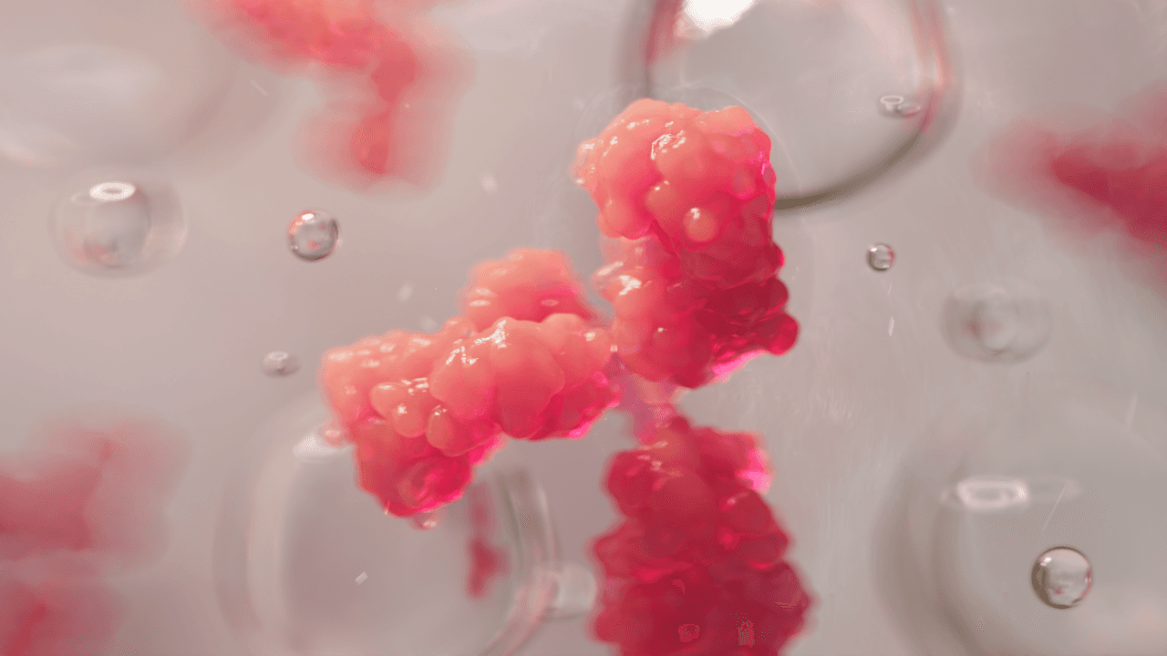 3D antibody biomedical animation of antibody drug conjugates (ADC), flowing in body. Bubbles and abstract representation, quality and premium Mechanism of action for pharmaceutical client.