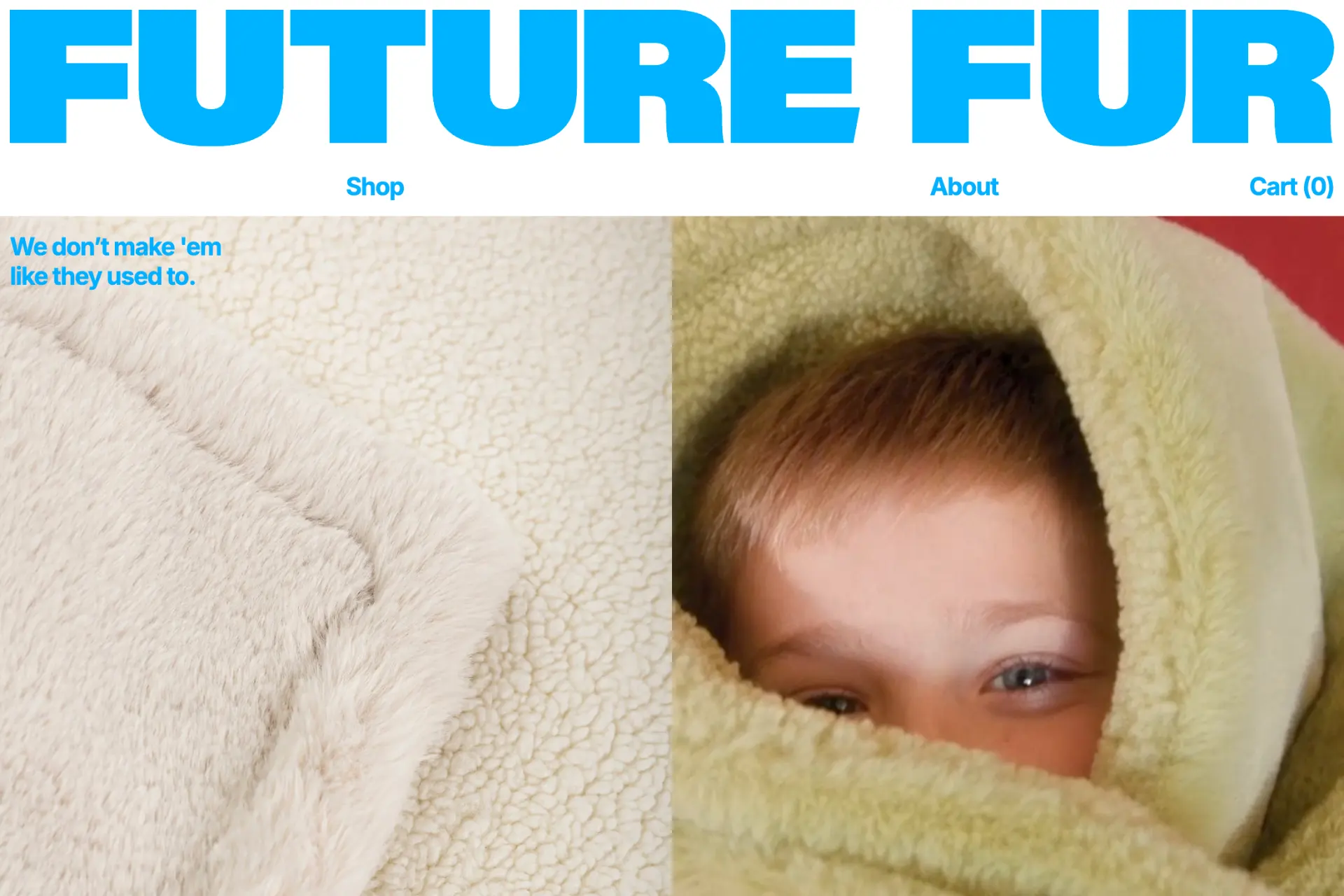 Screenshot of Future Fur website