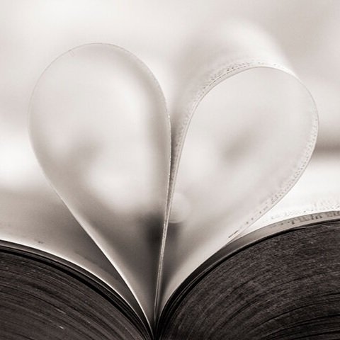 An open book with its pages folded into a heart shape