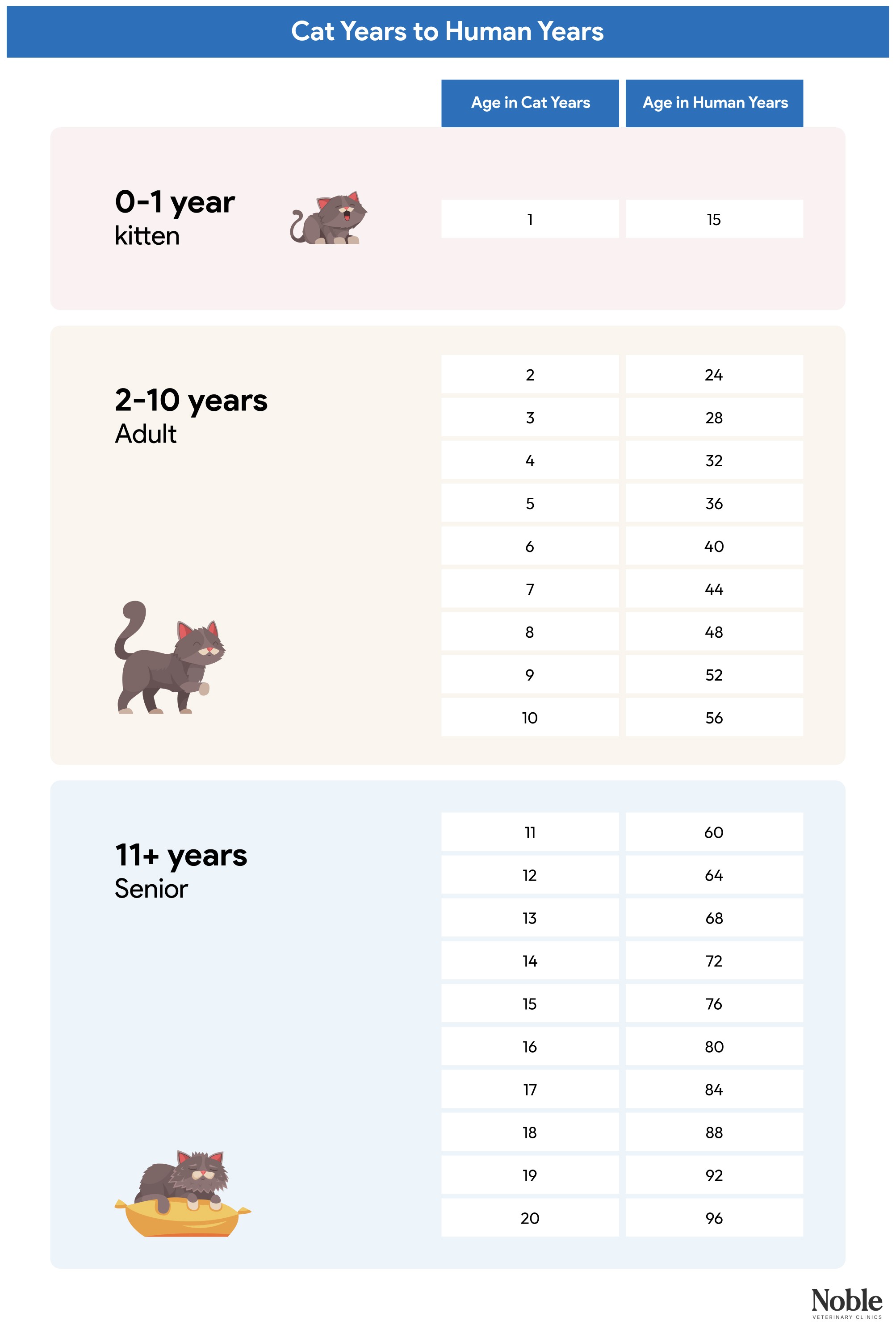 Cat years to human years chart.