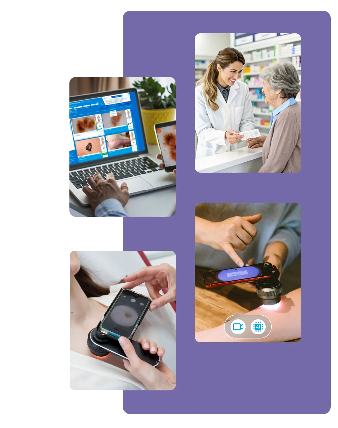 skinmed equipe