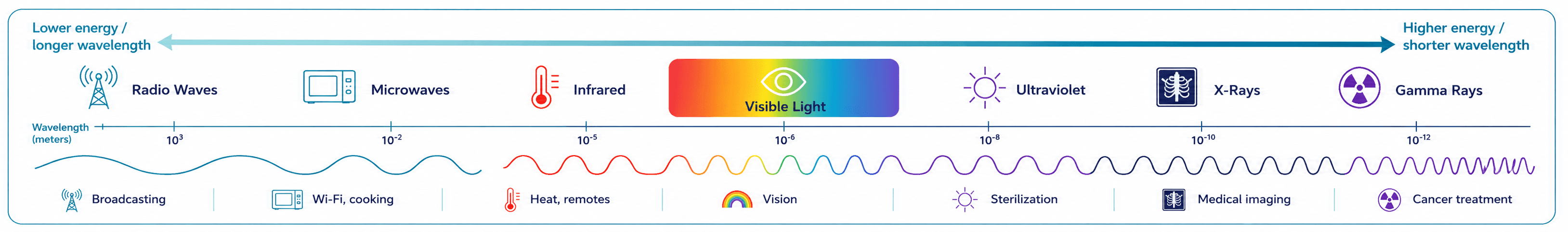 Electromagnetic spectrum diagram from radio waves to gamma rays with wavelengths and everyday applications - SNC2D Grade 10 Science