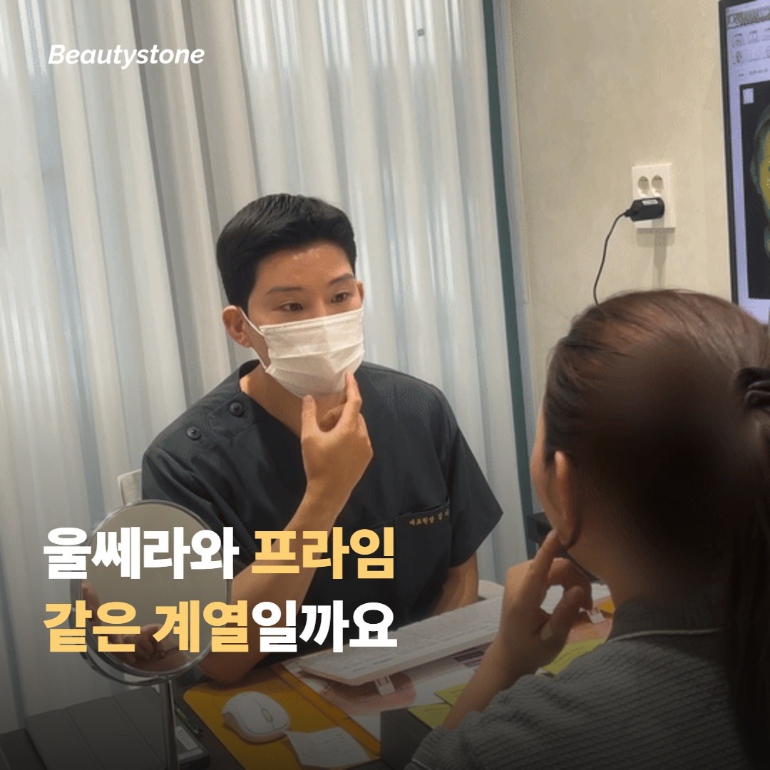 울쎄라와 프라임을 두고 고민하게 되는 이유