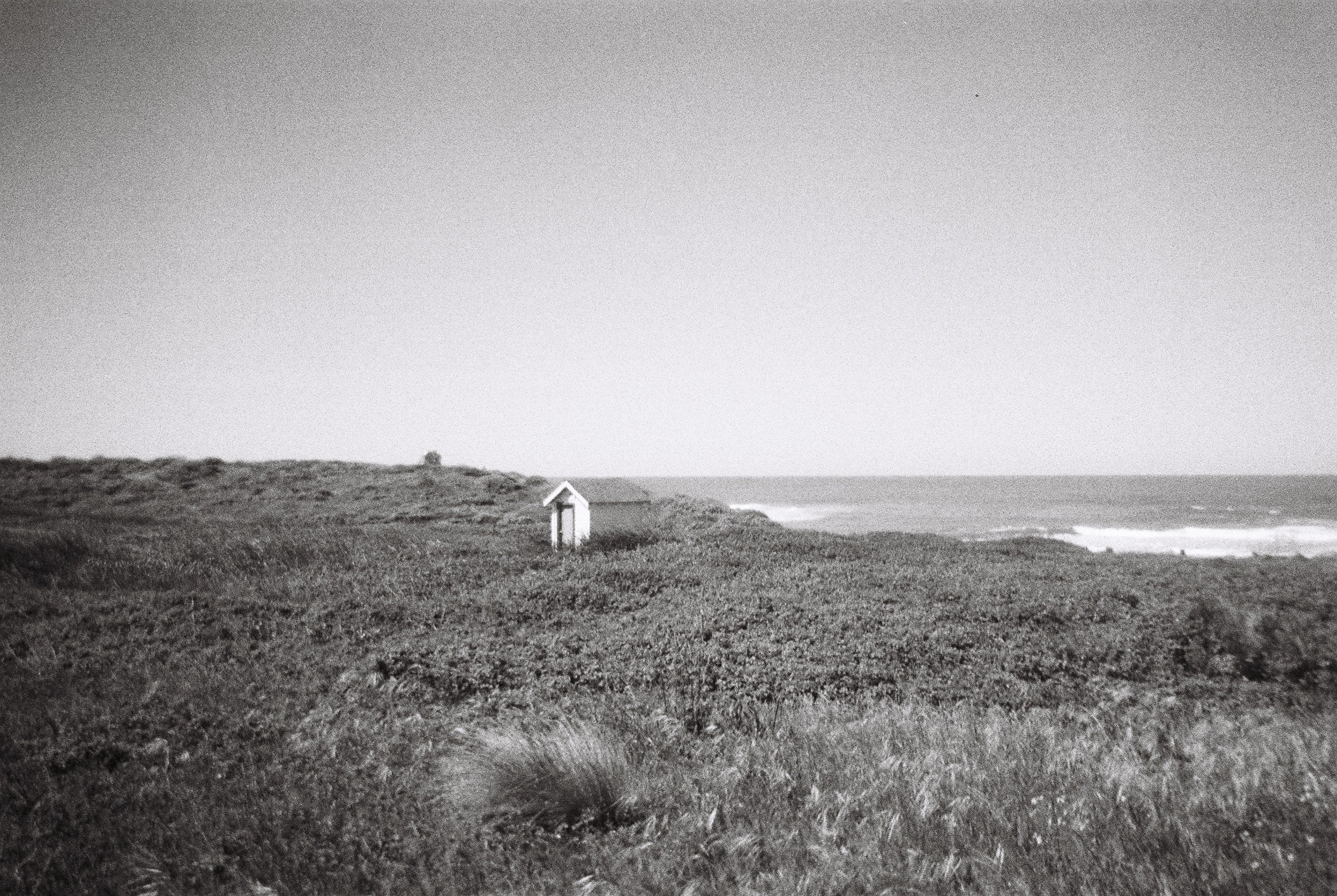 bigsur