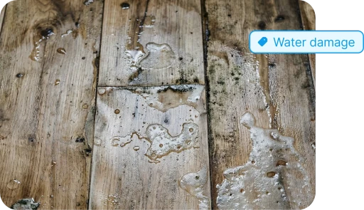 Water damage hardwood floor mold with tag