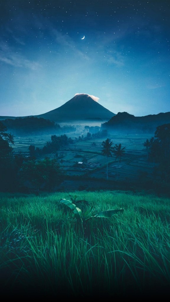 Nature Photography