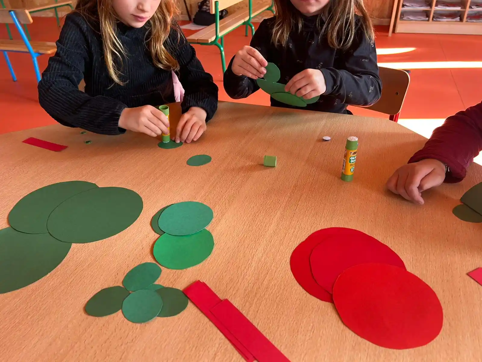 création des grenouilles