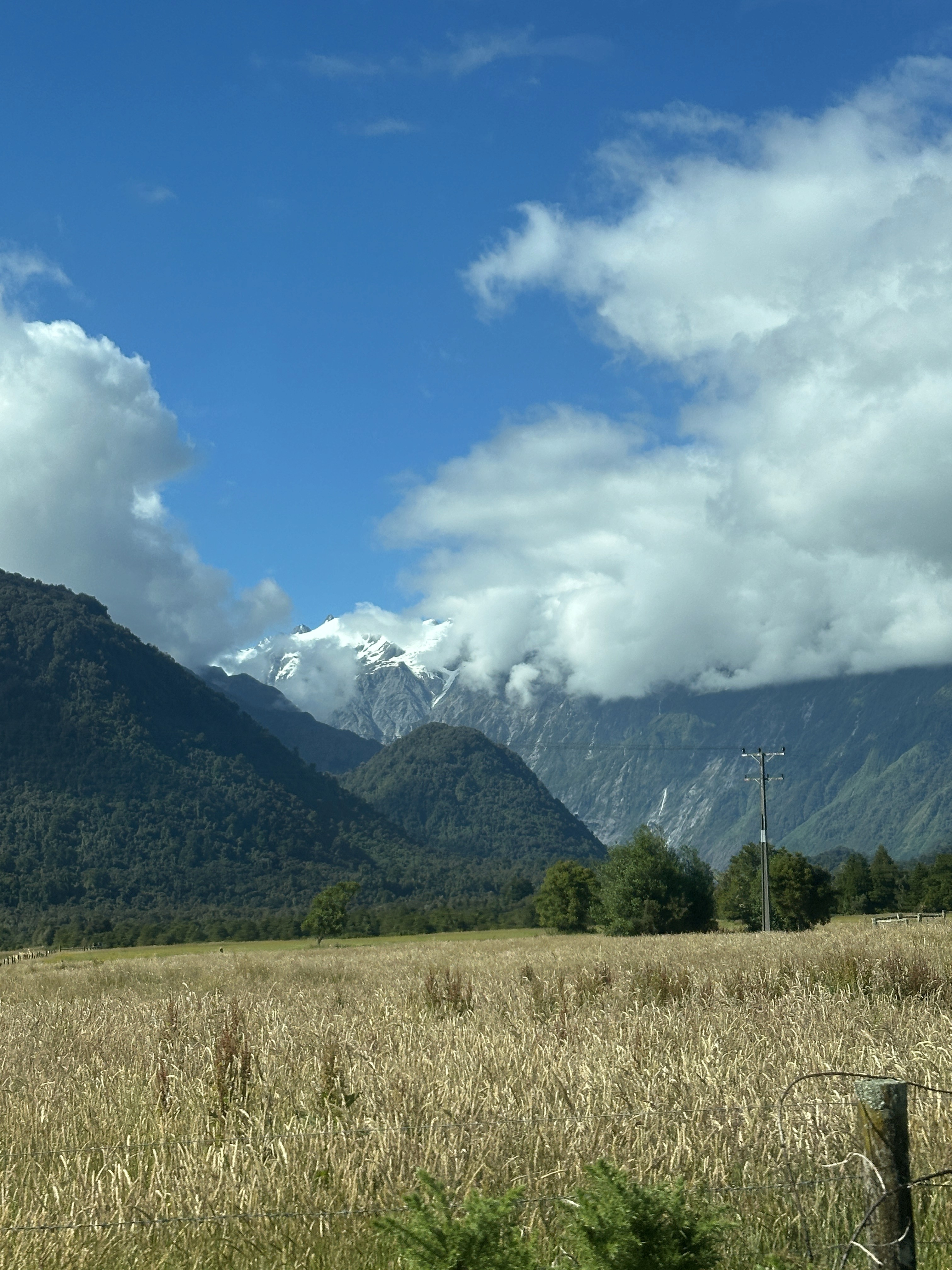 Cyclist riding on the road