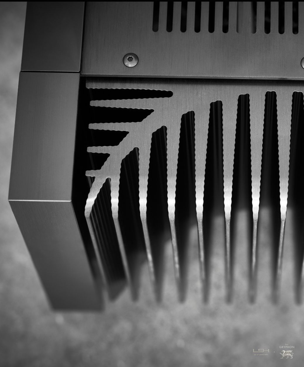 Naim NAPS 555 DR in situation