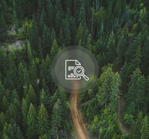 Analysis icon over an aerial view of a forest with a dirt road.