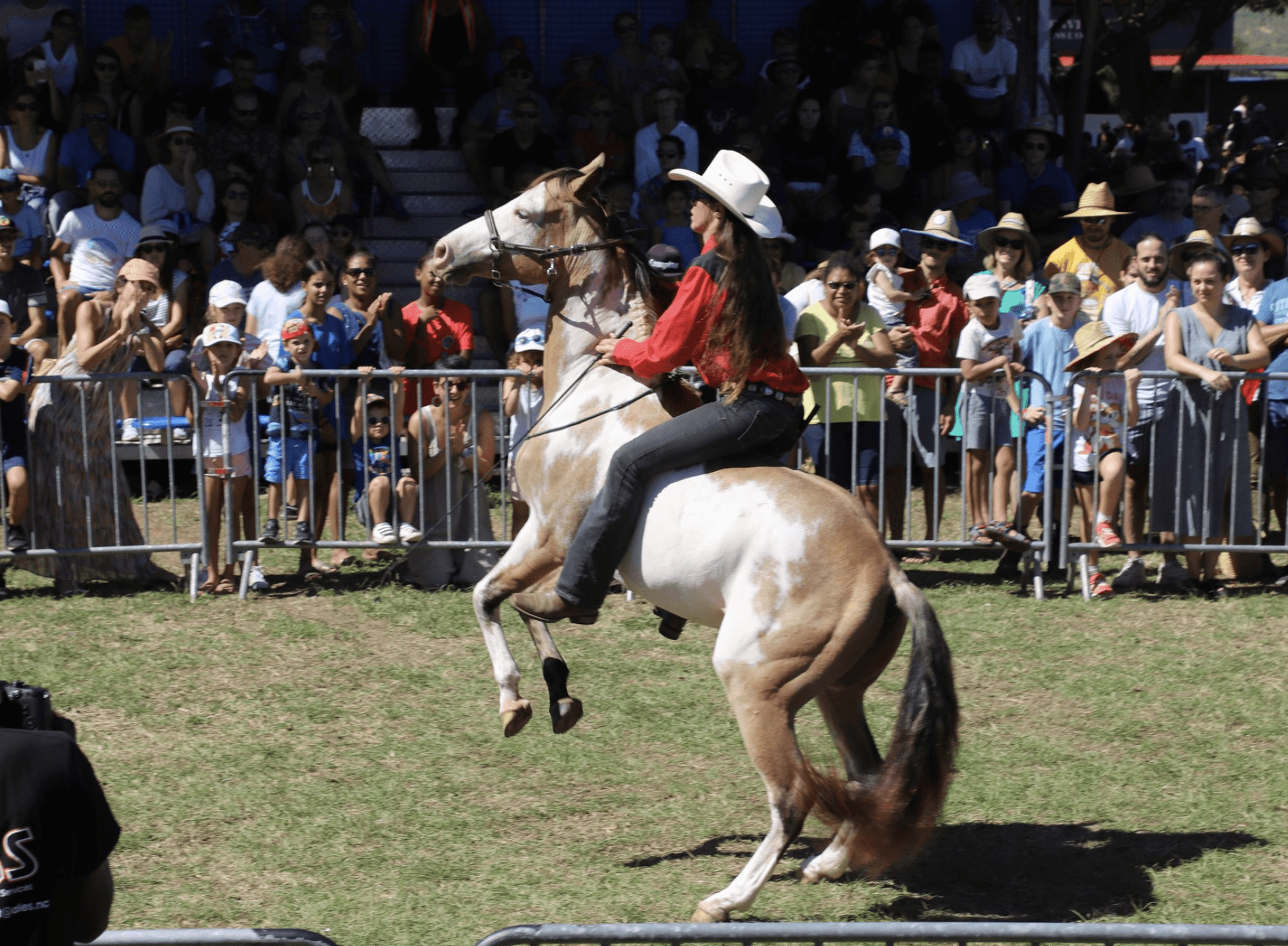Fête du Cerf et de la Crevette de Boulouparis
