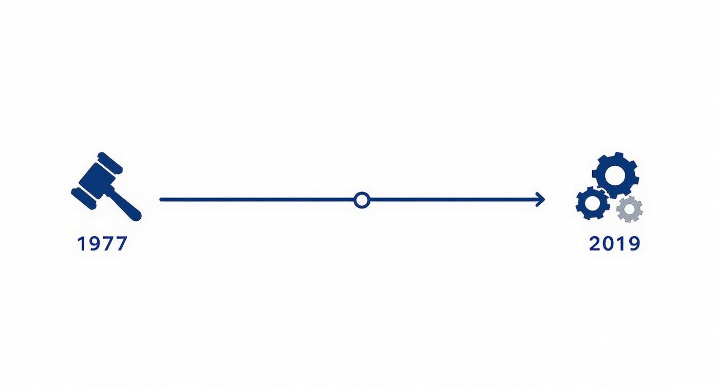 Infographic about what is dunning process