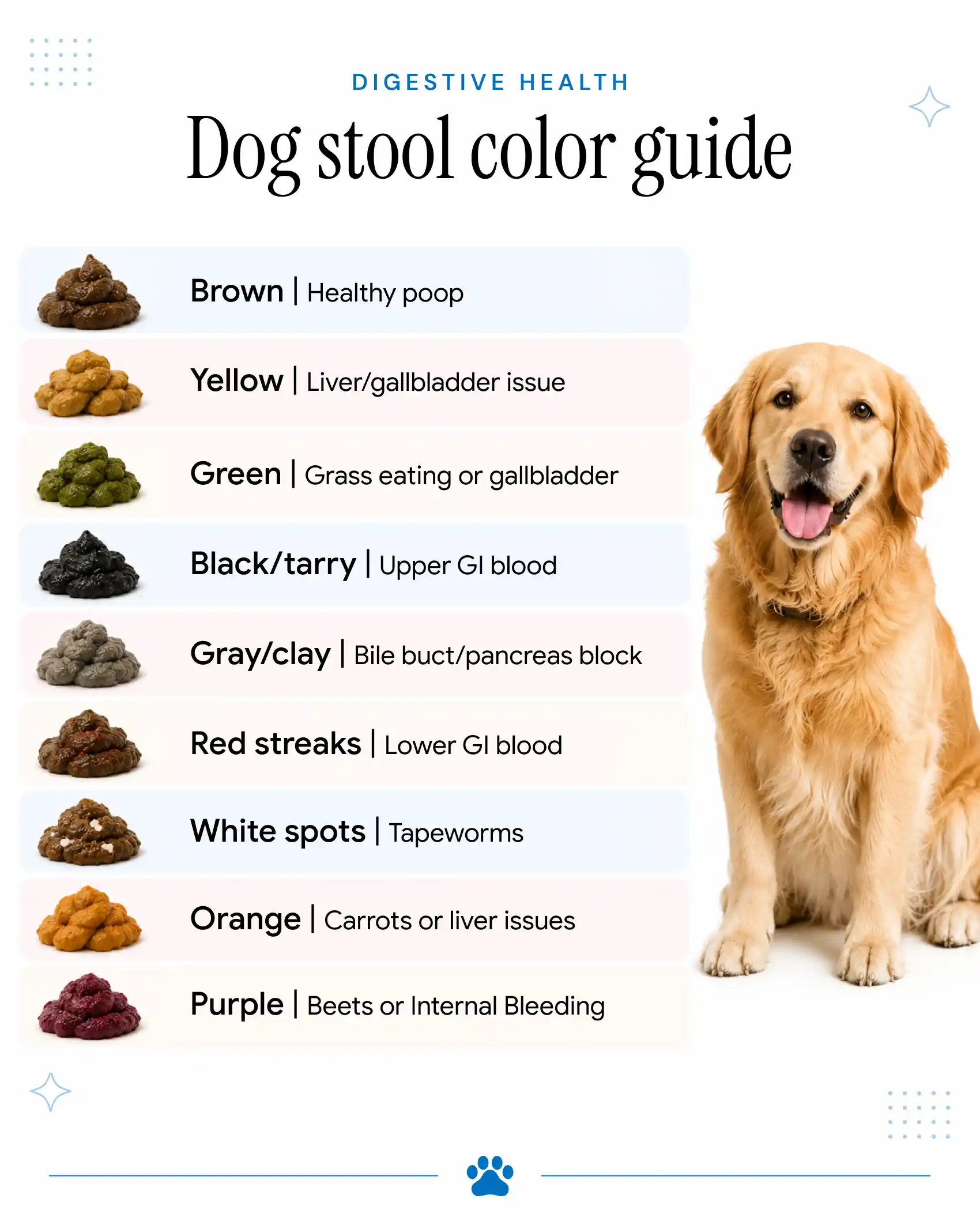 An infographic showing the different colors of dog poop and their meanings.