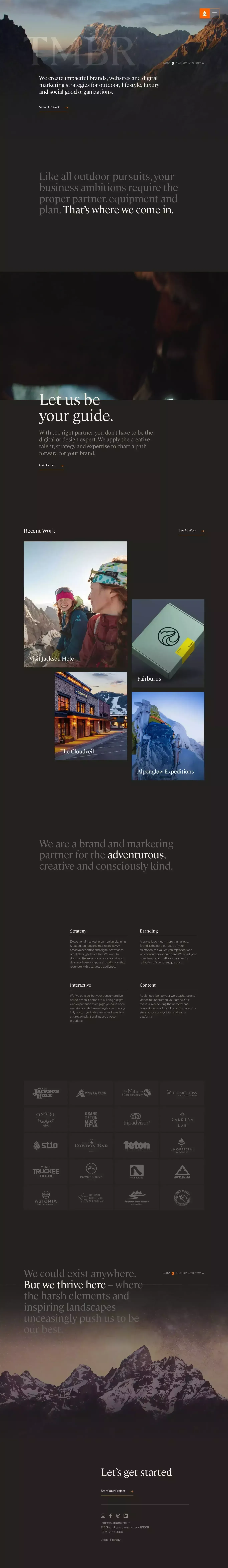 TMBR Digital Marketing Agency - Web Desi portfolio page screenshot showcasing Design and Tech design