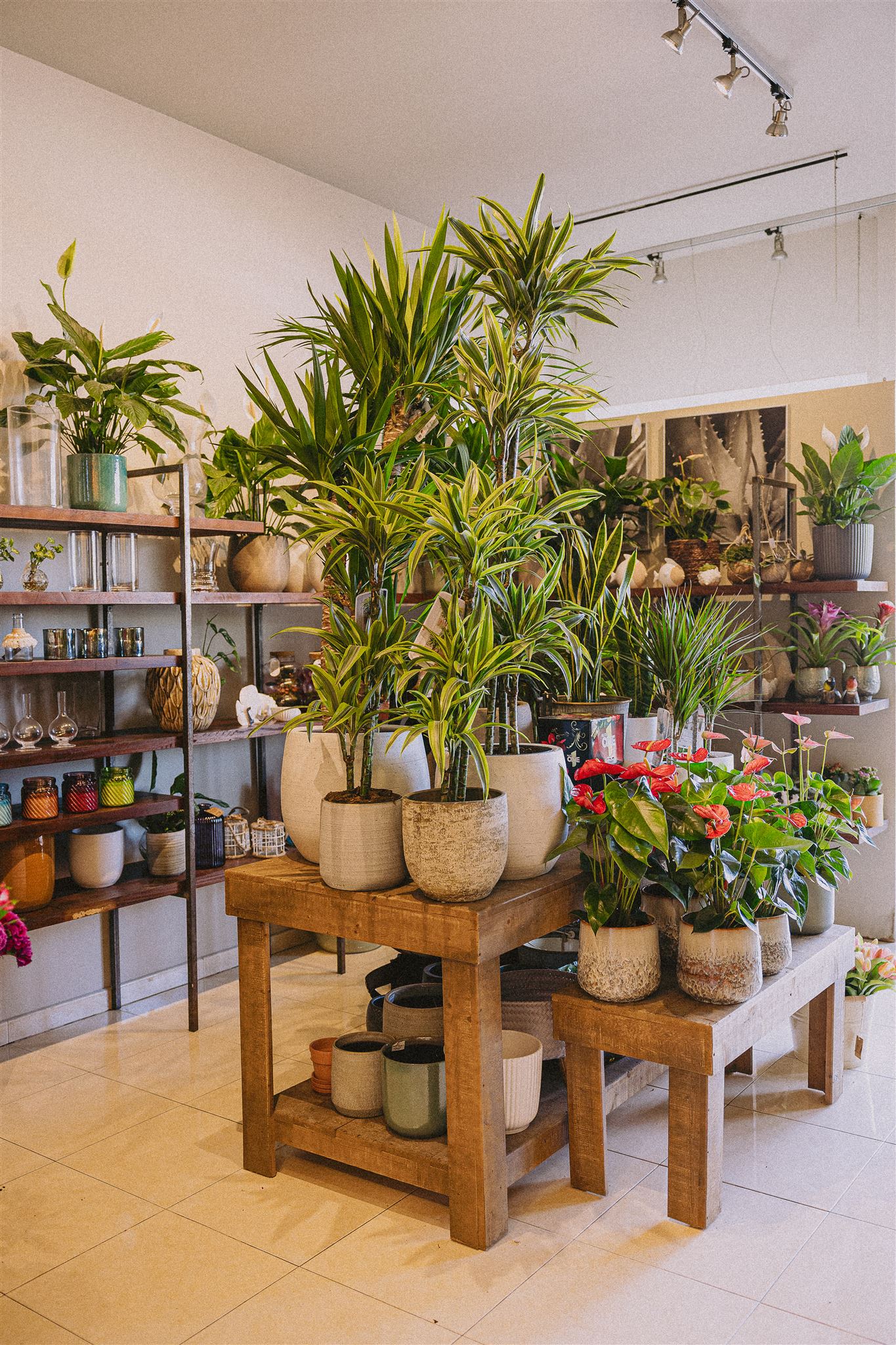 Eiviss Garden Florist San Antonio